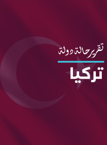 تقرير حالة دولة: تركيا