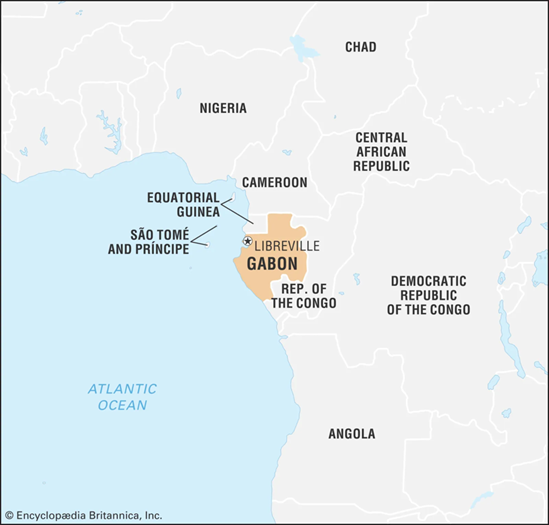 انقلاب الغابون: دوامة انقلابات غرب ووسط أفريقيا تعصف بنفوذ فرنسا